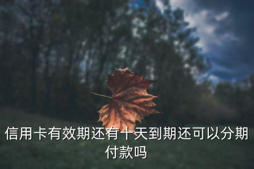 信用卡有效期还有十天到期还可以分期付款吗