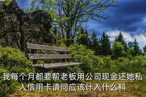 我每个月都要帮老板用公司现金还她私人信用卡请问应该计入什么科