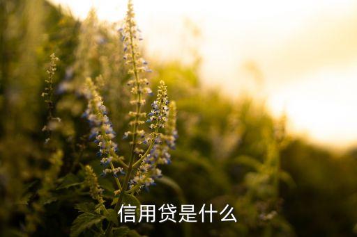什么是打卡公司信用贷，什麽是信用贷