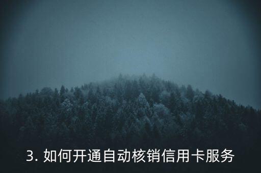自动核销信用卡，自动化核销信用卡流程，轻松省心！