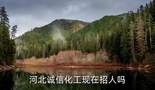 河北诚信化工有限公司，石家庄待遇不错的化工厂或制药厂有哪些求推荐
