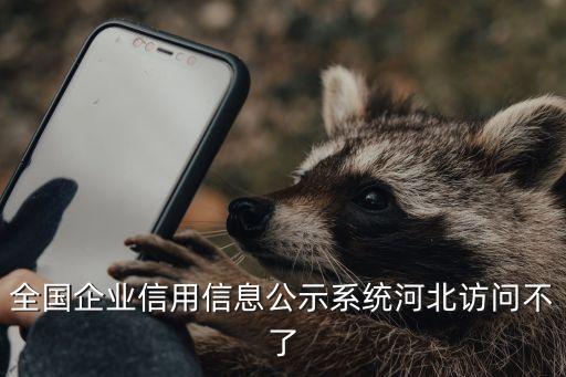 全国企业信用信息公示系统河北访问不了