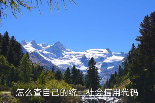 查询统一社会信用代码证，企业的统一社会信用代码在哪里查比较方便