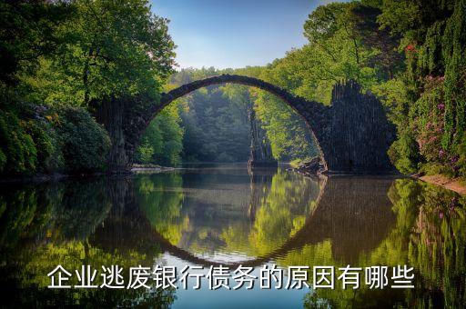 企业逃废银行债务的原因有哪些