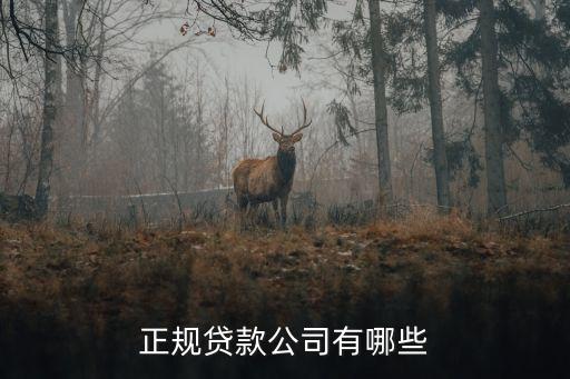 正规贷款公司有哪些