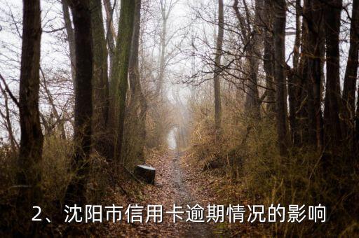 沈阳信用卡逾期，沈阳市信用卡逾期情况