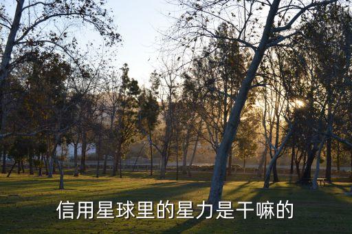 信用星球里的星力是干嘛的