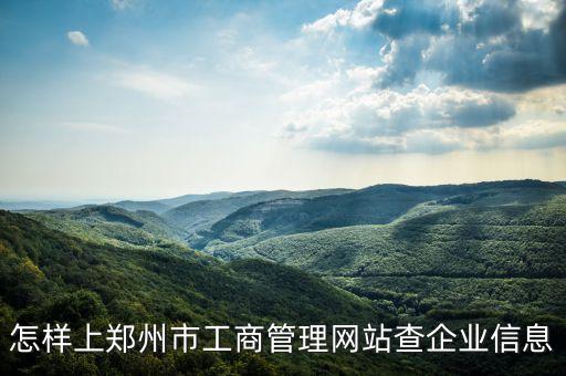 怎样上郑州市工商管理网站查企业信息