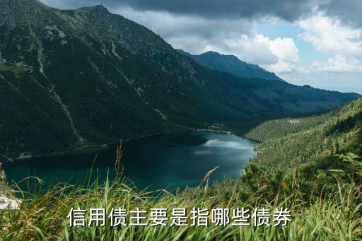 信用债主要是指哪些债券