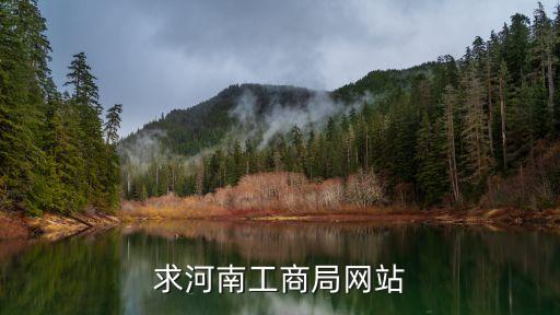 河南工商执照查询官网，求河南工商局网站