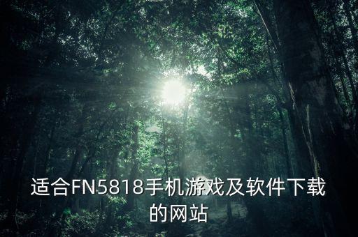 适合FN5818手机游戏及软件下载的网站