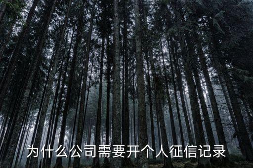 为什么公司需要开个人征信记录
