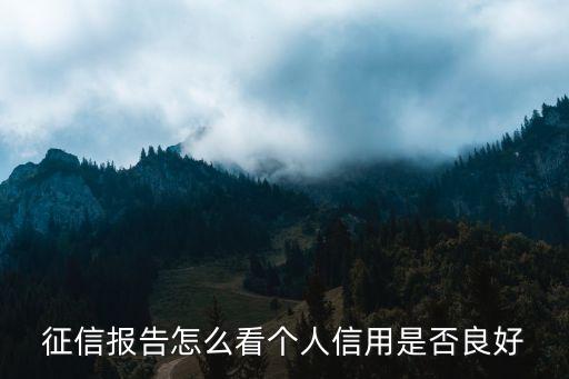 征信报告怎么看个人信用是否良好