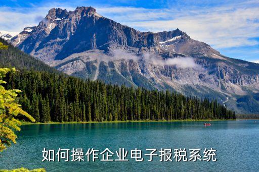 如何操作企业电子报税系统