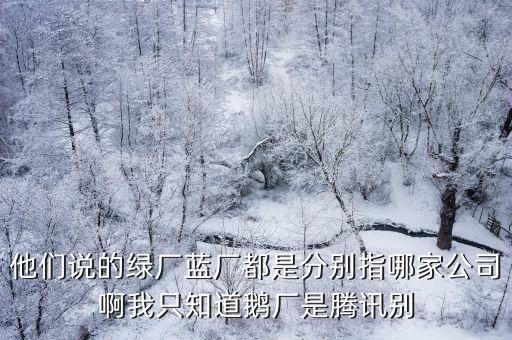 他们说的绿厂蓝厂都是分别指哪家公司啊我只知道鹅厂是腾讯别