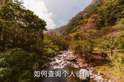 如何查询个人征信