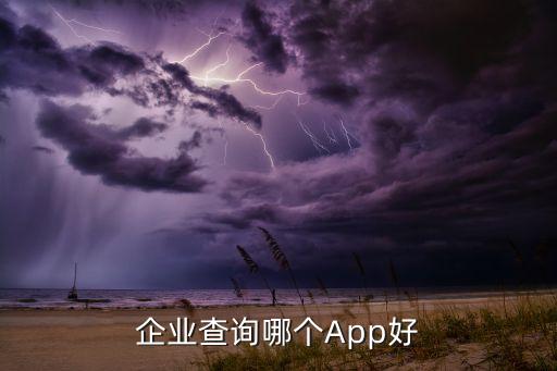 企业查询哪个App好