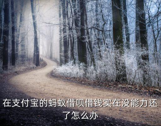 在支付宝的蚂蚁借呗借钱实在没能力还了怎么办