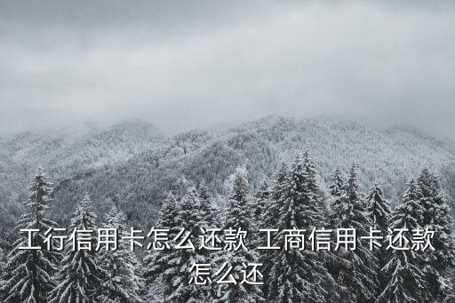 工行信用卡怎么还款 工商信用卡还款怎么还