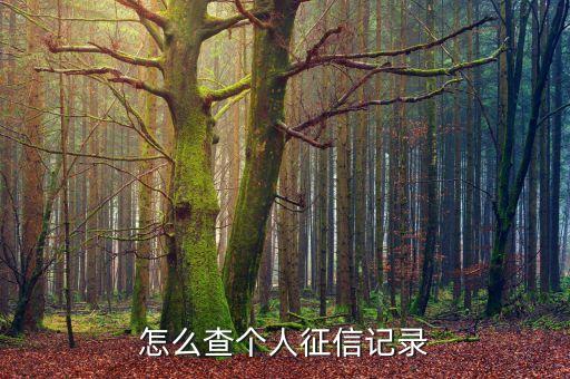 怎么查个人征信记录