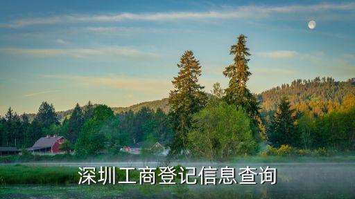 企业信息查询系统官网 深圳，深圳工商登记信息查询