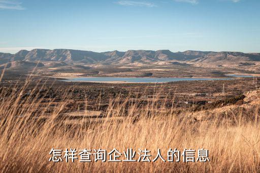 怎么查询企业法人，怎么能查到公司法人