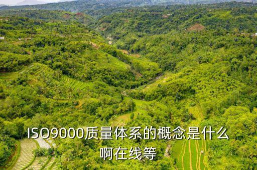 ISO9000质量体系的概念是什么啊在线等