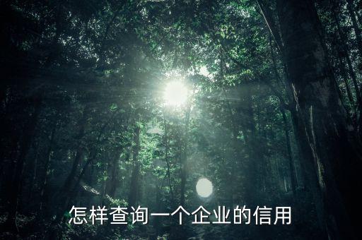 怎样查询一个企业的信用