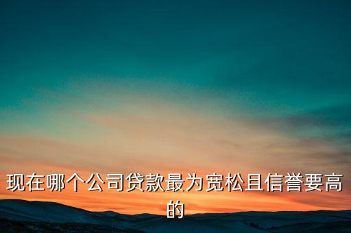 现在哪个公司贷款最为宽松且信誉要高的