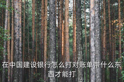 在中国建设银行怎么打对账单带什么东西才能打