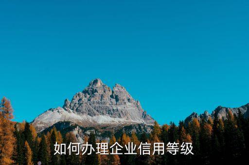 公司怎么申请纳税信用等级，怎么取得A级纳税信用等级