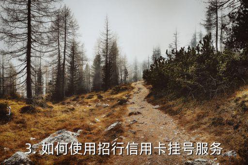 招行信用卡挂号信，招商银行信用卡挂号服务：便捷快速的医疗预约方式
