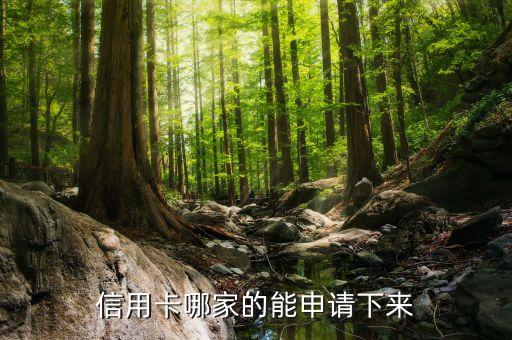 信用卡哪家的能申请下来