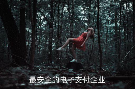 数字信用支付有哪些公司，盛付通支付平台的公司概况