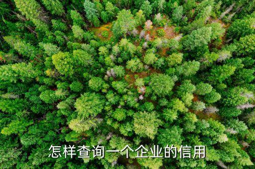 怎样查询一个企业的信用