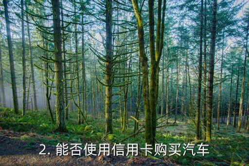 能刷信用卡买车么，能否使用信用卡购买汽车？