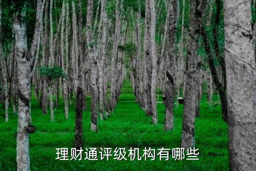 中债资信评级，理财通评级机构有哪些