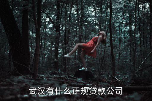 武汉众势信用是什么公司，有谁知道雄楚大街977号在哪是什么单位