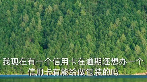 怎么做信用卡包装公司，想开个信用卡包装公司怎么弄
