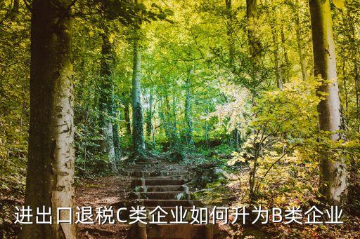 进出口退税C类企业如何升为B类企业