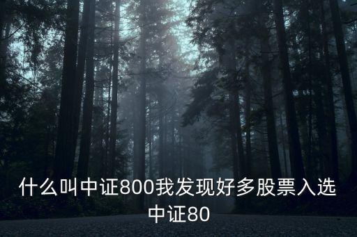 什么叫中证800我发现好多股票入选中证80