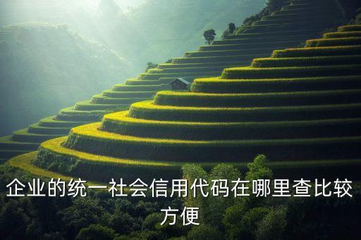 企业的统一社会信用代码在哪里查比较方便
