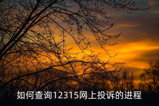 如何查询12315网上投诉的进程