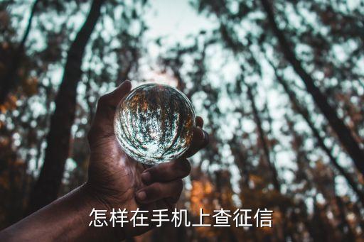 个人征信手机怎么查询，怎样在手机上查征信