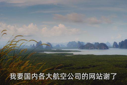 我要国内各大航空公司的网站谢了