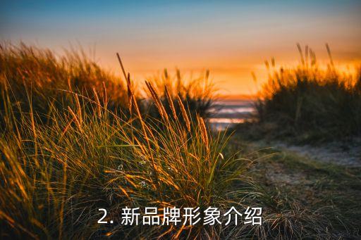 无锡平安银行信用卡，无锡平安银行信用卡改头换面，推出全新品牌形象