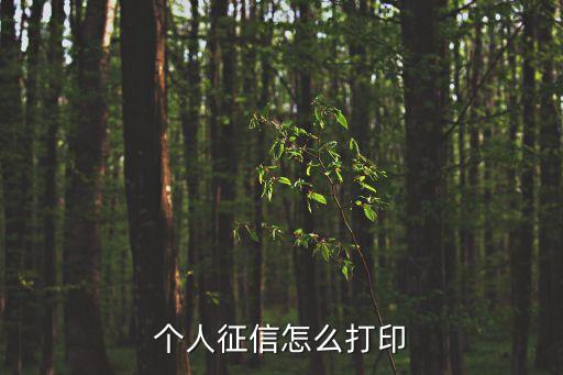 个人征信怎么打印