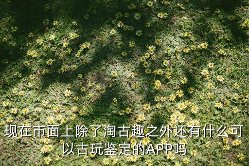 古钱鉴定软件，现在市面上除了淘古趣之外还有什么可以古玩鉴定的APP吗