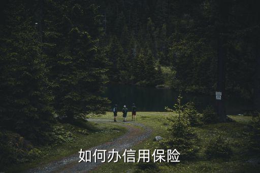 如何办信用保险