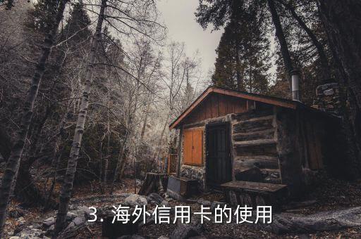 海外信用卡怎么办，海外信用卡应该如何处理